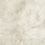 Sheepskin Ivory